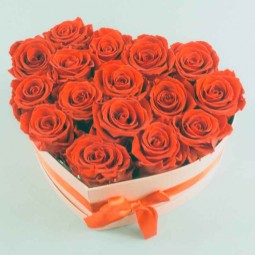 Rose stabilisé  spécial saint-valentin