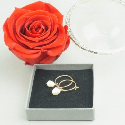 rose dans son écrin de verre et une paire de boucle d'oreilles