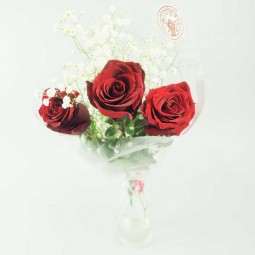 3 ROSES ET GYPSO
