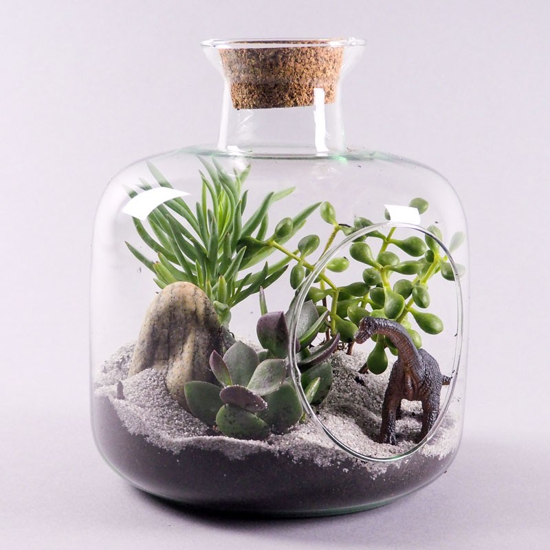 Terrarium En Verre 1600 Ml Avec Couvercle Liège - Grand Ouverture Pour Plantes Grasses - Décoration Intérieure
