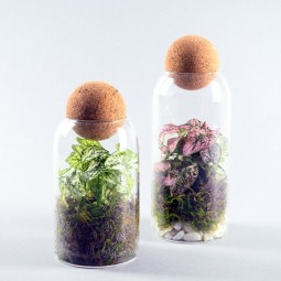 Mini-mini-terrarium