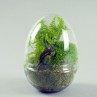 Oeuf terrarium