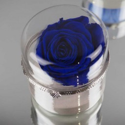 Rose stabilisée bleu marine – Mystère et profondeur éternelle