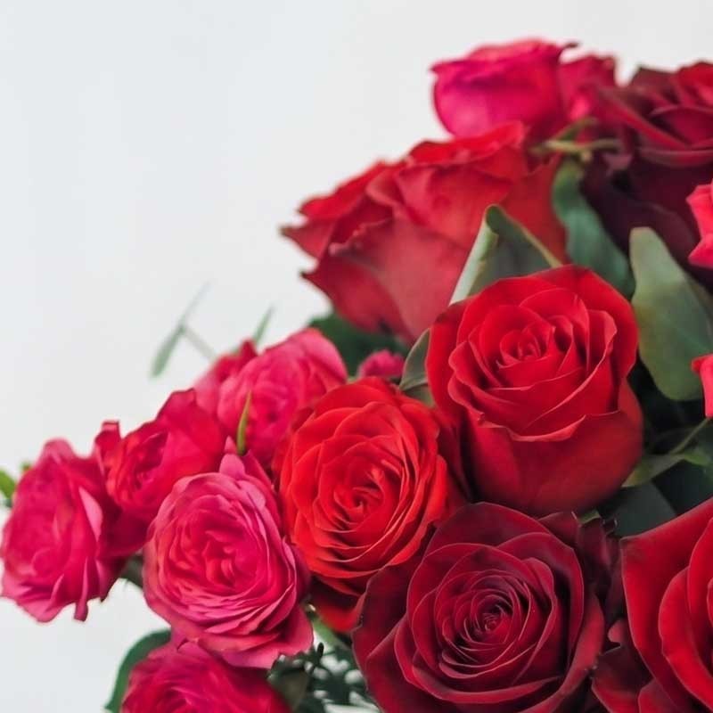 camaïeux rouge
