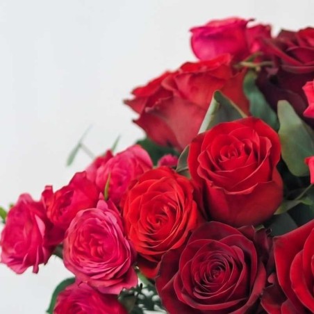 camaïeux rouge