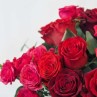 camaïeux rouge