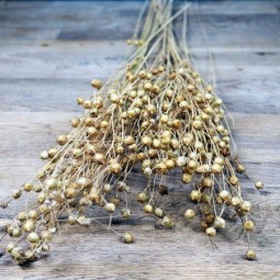 Lin séché pour bouquet éternel