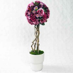 Arbre boule topiaire