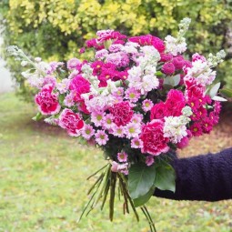 Giroflées, œillets, roses ramifiées. un bouquet candi paré de rose.