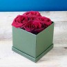 rose stabilisées rouge en boite