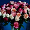 bouquet joyeux anniversaire rose 50 roses