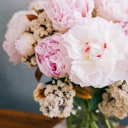 Gros plan sur le bouquet de pivoine