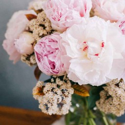 Gros plan sur le bouquet de pivoine