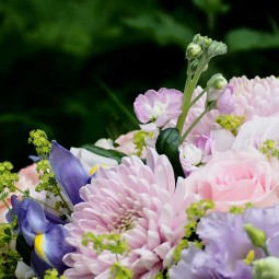 la nature compose en bleu gros plan