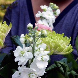 gros plant bouquet du fleuriste au jardin