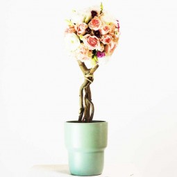 Un Arbre à fleurs pour la maison