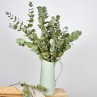 botte d'eucalyptus dans un vase