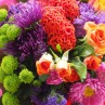 gros plan sur les fleurs colorées du bouquet multicolore