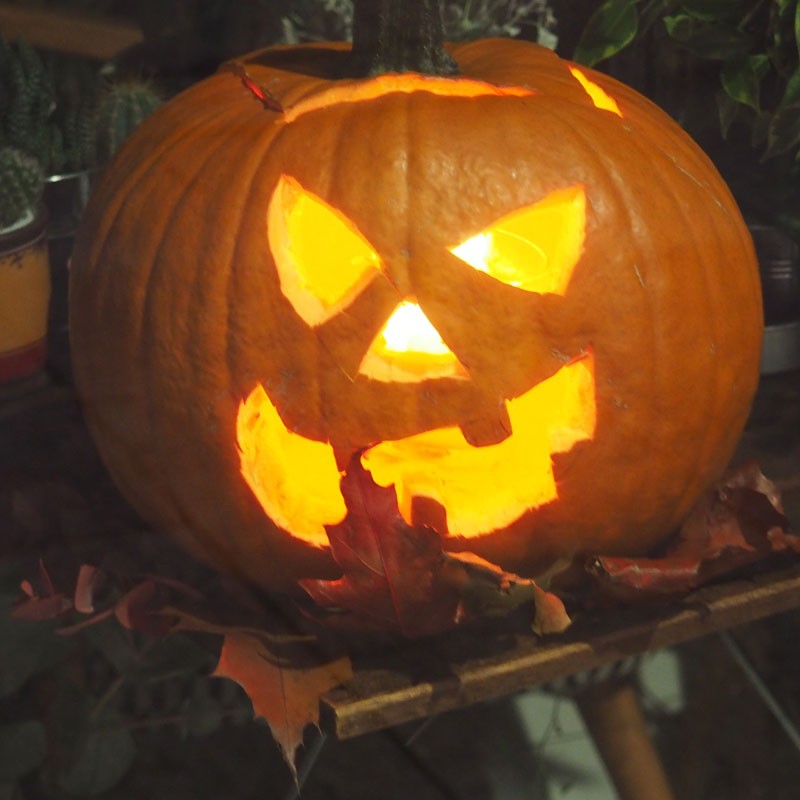 Jack o'lantern