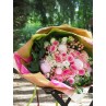 Bouquet de rose et pivoine au jardin