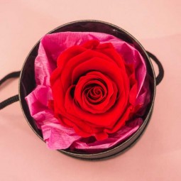 ROSE STABILISEE DANS UNE BOITE A CHAPEAU