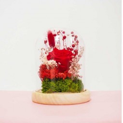 Rose stabilisé coupé rouge