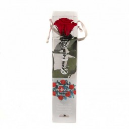 ROSE TOUGE ETERNELLE DANS SA BOX