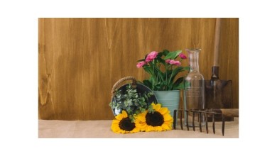 Comment choisir le bon vase pour chaque bouquet ?