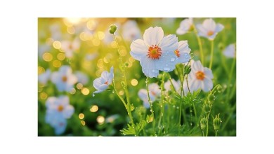 Cinq idées de compositions florales champêtres pour votre salon