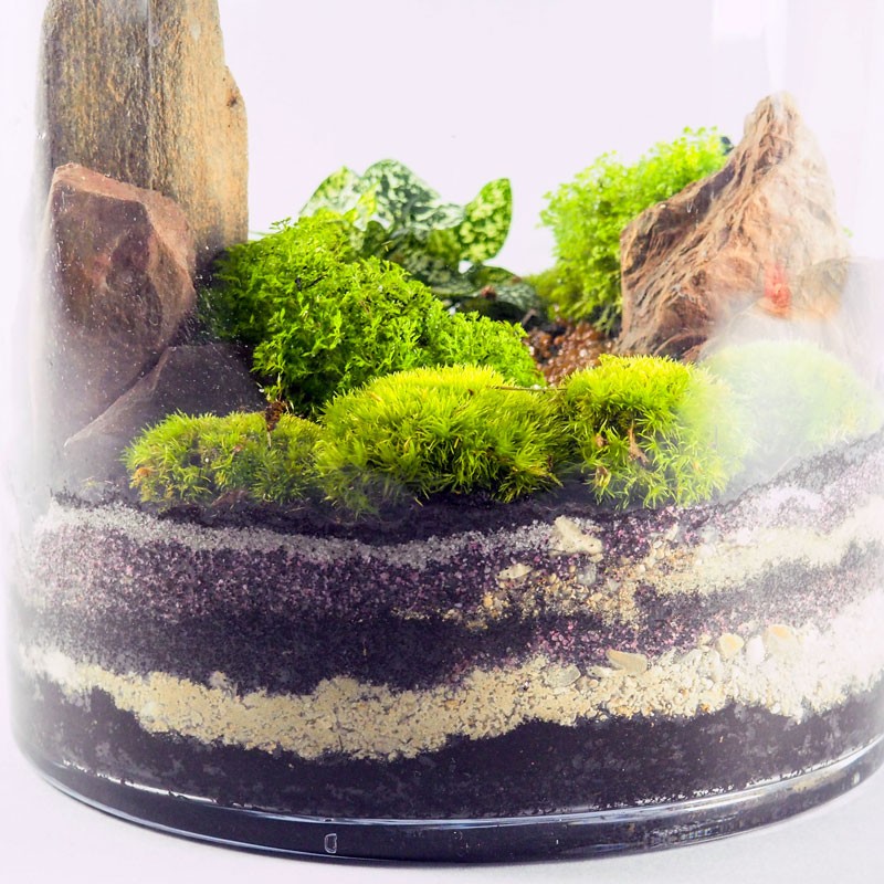 Terrarium